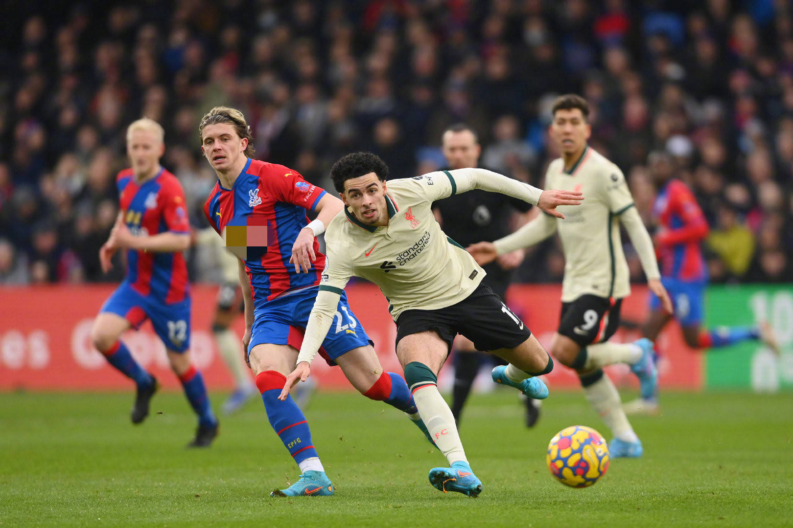 由哪些具体 由哪些具体